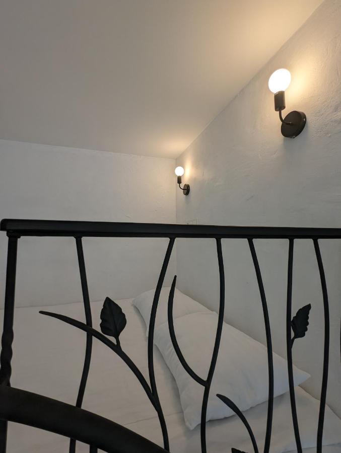 Apartment квітка на камені , старе місто, з окремим двориком Kamianets-Podilskyi