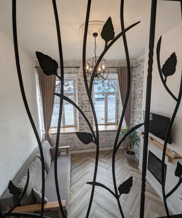 квітка на камені , старе місто, з окремим двориком Apartment Kamianets-Podilskyi